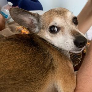 Meet your Posher, Kaimana